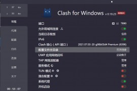 Clash For Windows V0.20.3 + 中文汉化补丁